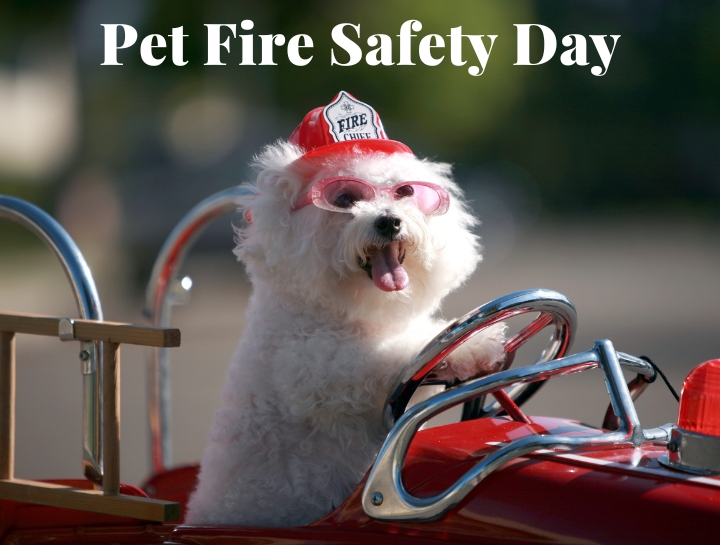 Pet Fire Safety Day