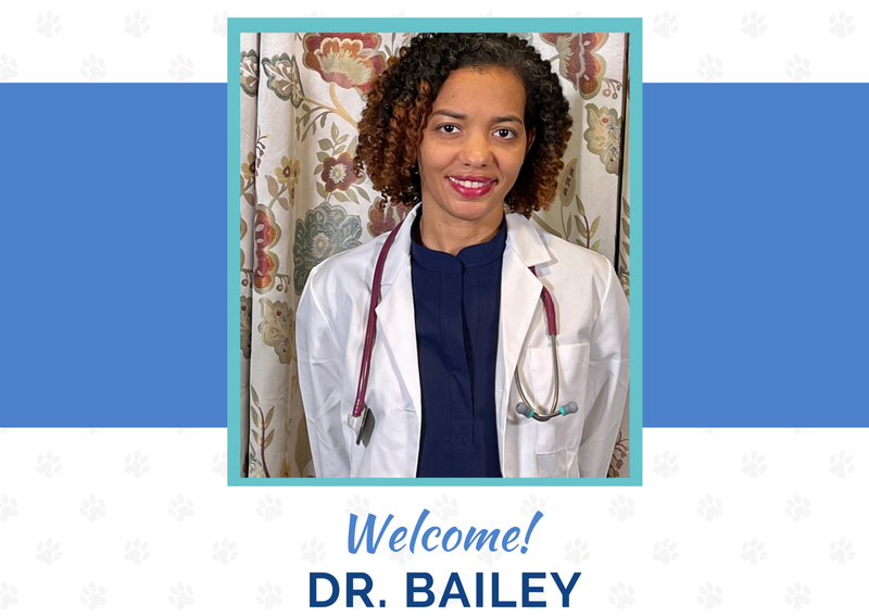 Carousel Slide 1: Welcome to the team Dr. Bailey!