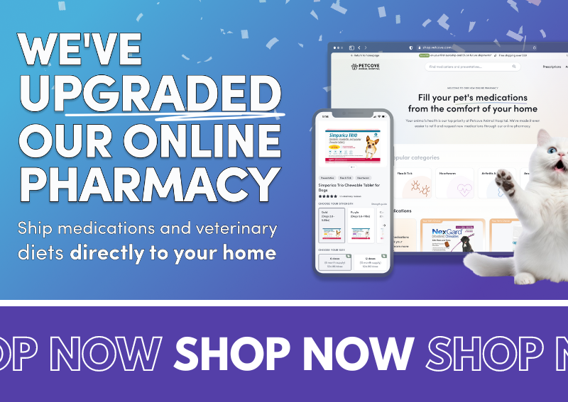 Carousel Slide 2: Check out our new and improved online pharmacy!